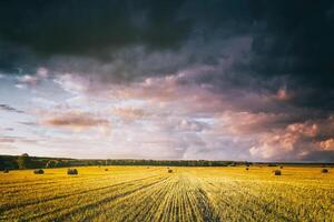 A field of a haystacks on an autumn day, illuminated by sunlight, with rain clouds in the sky. Vintage film aesthetic. photo