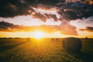 puesta de sol en un campo con pajar en un verano o temprano otoño noche con un nublado cielo en el antecedentes. obtención de animal alimentar en agricultura. Clásico película estético. foto