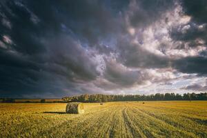 un campo de un pajar en un otoño día, iluminado por luz de sol, con lluvia nubes en el cielo. Clásico película estético. foto