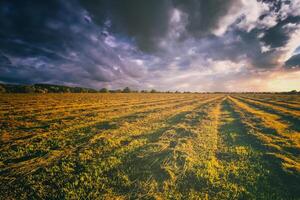 puesta de sol a cultivado tierra en el campo en un verano noche con nublado cielo antecedentes. Clásico película estético. foto