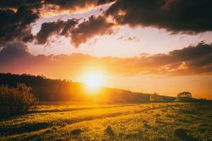 puesta de sol o amanecer en un primavera campo con verde césped, sauce arboles y nublado cielo. Clásico película estético. foto