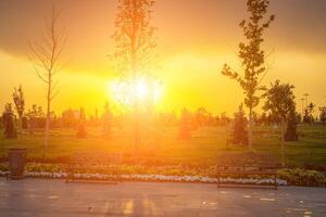 City park in early summer or spring with pavement, lanterns, young green lawn, trees and dramatic cloudy sky on a sunset or sunrise. photo