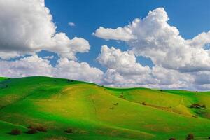 Hills and mountains covered with young green grass and illuminated by the sun on a sunny day. photo