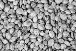 The texture of a pile of apricot kernels in the shell. Background of healthy plant vegan food. Nuts. Black and white. photo