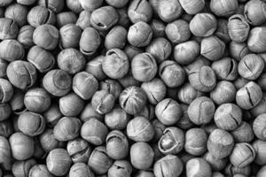 The texture of a heap of hazelnuts in the shell. Background of healthy plant vegan food. Nuts. Black and white. photo