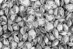 The texture of a pile of apricot kernels in the shell. Background of healthy plant vegan food. Nuts. Black and white. photo