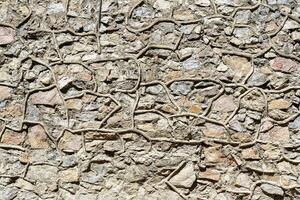 Decorative wall from stones and concrete. Abstract background. photo