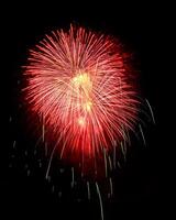 Colorful celebration fireworks isolated on a black sky background. photo