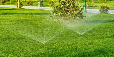 Automatic lawn watering system watering the young green lawn grass in the park. photo