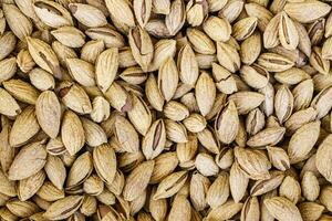 The texture of a heap of almonds in a shell. Background of healthy plant vegan food. Nuts. photo