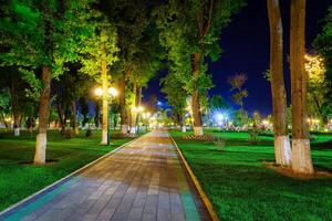 ciudad noche parque en temprano verano o primavera con acera, linternas, joven verde césped y arboles foto