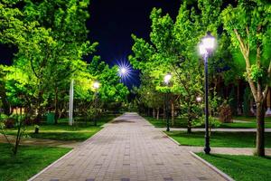 City night park in early summer or spring with pavement, lanterns, young green lawn and trees. photo