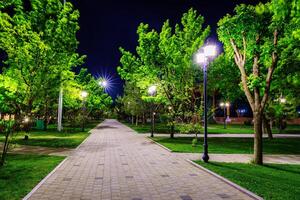 City night park in early summer or spring with pavement, lanterns, young green lawn and trees. photo