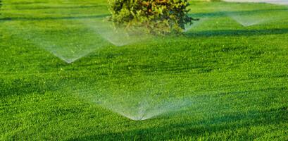 Automatic lawn watering system watering the young green lawn grass in the park. photo