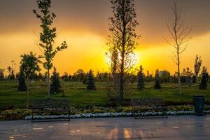 City park in early summer or spring with pavement, lanterns, young green lawn, trees and dramatic cloudy sky on a sunset or sunrise. photo