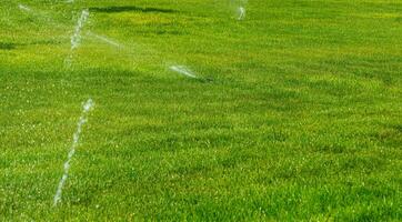 Automatic lawn watering system watering the young green lawn grass in the park. photo