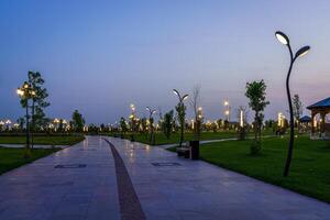 City night park in early summer or spring with pavement, lanterns, young green lawn and trees. photo