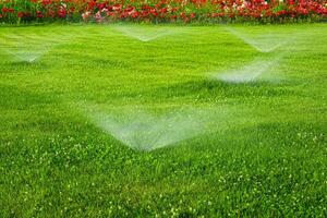 Automatic lawn watering system watering the young green lawn grass in the park. photo