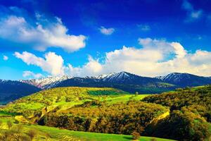 Hills and mountains covered with young green grass and illuminated by the sun on a sunny day. photo