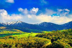 Mountain top covered with young snow and illuminated by the sun on a sunny day. Mountain landscape. photo