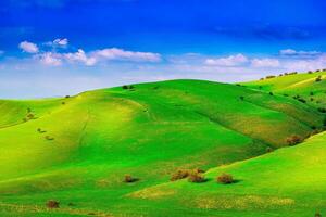 Hills and mountains covered with young green grass and illuminated by the sun on a sunny day. photo