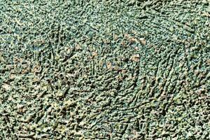 Texture of green scratched concrete. Abstract background. photo