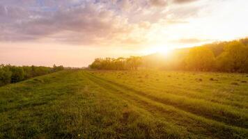 puesta de sol o amanecer en un campo con verde césped, sendero y sauces en el antecedentes. temprano verano o primavera. foto