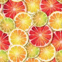 Seamless pattern with lemon, lime and grapefruit slices vector