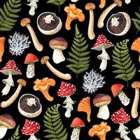 Seamless pattern with edible raw mushrooms on black background vector