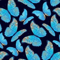 Seamless pattern with high detailed tropic butterfly vector