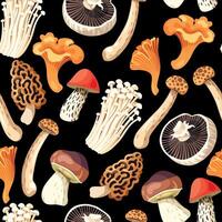 Seamless pattern with edible raw mushrooms on black background vector