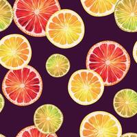 Seamless pattern with lemon, lime and grapefruit slices vector