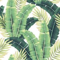 Seamless pattern with tropical palm and banana leaves vector