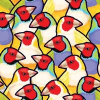 Seamless pattern with high detailed gouldian finches vector