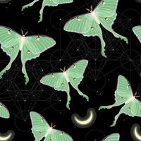 Seamless pattern with high detailed moon moth and stars vector