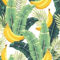Seamless pattern with high detailed banana and banana leaves vector