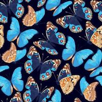 Seamless pattern with high detailed tropic butterfly vector