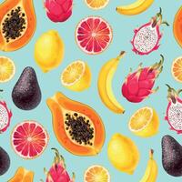 Seamless pattern with high detailed sliced exotic fruits vector