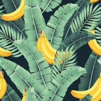 Seamless pattern with high detailed banana and banana leaves vector