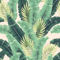 Seamless pattern with tropical palm and banana leaves vector