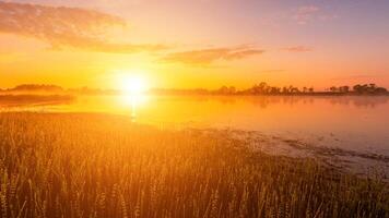 Scenic view of beautiful sunrise or dawn above the pond or lake at spring or early summer morning. photo