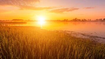 Scenic view of beautiful sunrise or dawn above the pond or lake at spring or early summer morning. photo