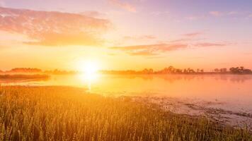 Scenic view of beautiful sunrise or dawn above the pond or lake at spring or early summer morning. photo