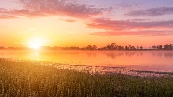 Scenic view of beautiful sunrise or dawn above the pond or lake at spring or early summer morning. photo