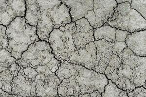 Texture of dry cracked earth. The concept of drought, global warming and climate change. photo