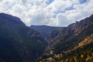 Mountains covered with grass and trees and cloudy dramatic sky on a daytime in Zaamin reserve. photo