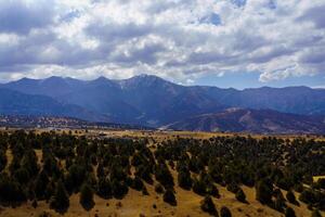 Mountains covered with grass and trees and cloudy dramatic sky on a daytime in Zaamin reserve. photo