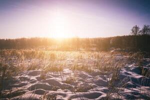 Sunrise or sunset in a winter field with trees and grass covered with frost and snow. Vintage film aesthetic. photo