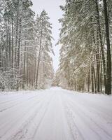 Automobile road through a pine winter forest covered with snow on a cloudy day. Vintage film aesthetic. photo