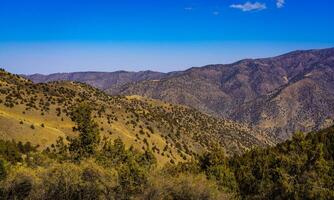 Mountains covered with grass and trees and cloudy dramatic sky on a daytime in Zaamin reserve. photo